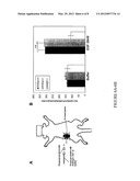 Methods and assays for treating conditions in which macrophages play a     pathogenic role diagram and image