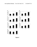 FISH-DERIVED PROTEIN LYSATE, AND USES THEREOF AS IMMUNOMODULATORY AND/OR     ANTI-INFLAMMATORY AGENT diagram and image