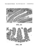 Materials and Methods for Improving Gastrointestinal Function diagram and image
