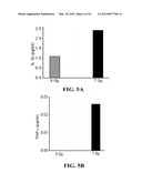 Materials and Methods for Improving Gastrointestinal Function diagram and image