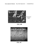 Materials and Methods for Improving Gastrointestinal Function diagram and image