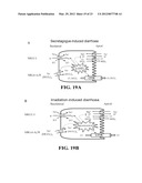 Materials and Methods for Improving Gastrointestinal Function diagram and image