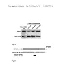 USE OF A GROWTH-STIMULATING PROTEIN diagram and image