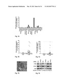 USE OF A GROWTH-STIMULATING PROTEIN diagram and image