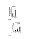 USE OF A GROWTH-STIMULATING PROTEIN diagram and image