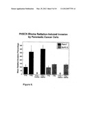 Compounds For, and Methods of, Treating Cancer and Inhibiting Invasion and     Metastases diagram and image