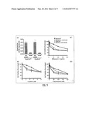 Methods for Affecting Homology-Directed DNA Double Stranded Break Repair diagram and image