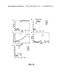 MOLECULAR PREDICTORS OF FUNGAL INFECTION diagram and image