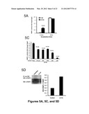 Methods of Diagnosing and Treating Multiple Sclerosis diagram and image