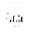 Methods of Diagnosing and Treating Multiple Sclerosis diagram and image