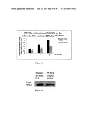 LANTHANIDE METAL COMPLEXES USEFUL IN TREATING CANCER diagram and image