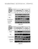 LANTHANIDE METAL COMPLEXES USEFUL IN TREATING CANCER diagram and image