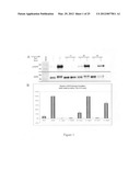 PRODRUG FORMS OF KINASE INHIBITORS AND THEIR USE IN THERAPY diagram and image