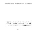 PRODRUG FORMS OF KINASE INHIBITORS AND THEIR USE IN THERAPY diagram and image