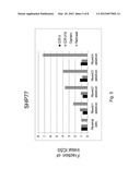 COMPOUNDS AND METHOD FOR TREATMENT OF CANCER diagram and image