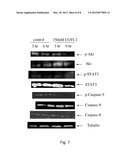 COMPOUNDS AND METHOD FOR TREATMENT OF CANCER diagram and image