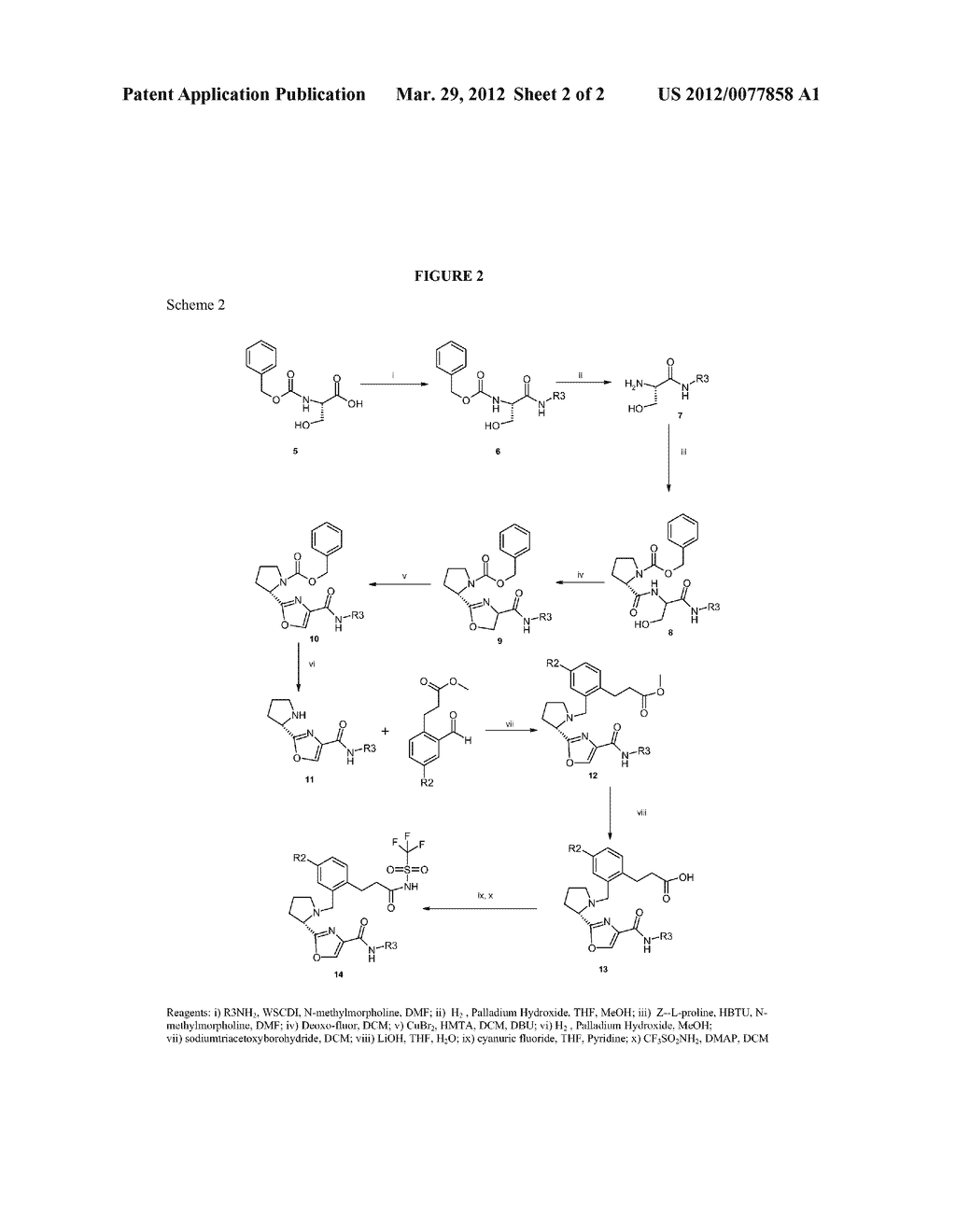 COMPOUNDS ACT AT MULTIPLE PROSTAGLANDIN RECEPTORS GIVING A GENERAL     ANTI-INFLAMMATORY RESPONSE - diagram, schematic, and image 03