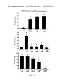 C-substituted Diindolylmethane Compositions and Methods for the Treatment     of Multiple Cancers diagram and image