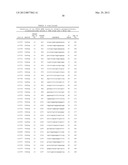 ANTISENSE MODULATION OF PTP1B EXPRESSION diagram and image