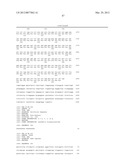 ANTISENSE MODULATION OF PTP1B EXPRESSION diagram and image