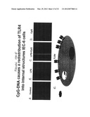 Use of Toll-like receptor-9 agonists, Toll-like receptor-4 antagonists,     and/or nuclear oligomerization domain-2 agonists for the treatment or     prevention of Toll-like receptor-4-associated disorders diagram and image