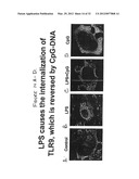 Use of Toll-like receptor-9 agonists, Toll-like receptor-4 antagonists,     and/or nuclear oligomerization domain-2 agonists for the treatment or     prevention of Toll-like receptor-4-associated disorders diagram and image