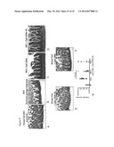 Use of Toll-like receptor-9 agonists, Toll-like receptor-4 antagonists,     and/or nuclear oligomerization domain-2 agonists for the treatment or     prevention of Toll-like receptor-4-associated disorders diagram and image