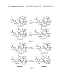 9, 10-Alpha, Alpha-OH-Taxane Analogs and Methods for Production Thereof diagram and image