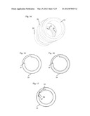 ENDOSCOPE WITH VARIABLE DIRECTION OF VIEW diagram and image