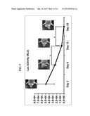 METHOD OF GENERATING CONNECTIVE TISSUE diagram and image