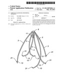 ENDOVASCULAR FILTER AND RETRIVAL APPARATUS diagram and image