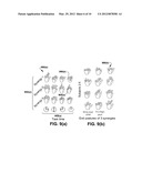 HUMAN-MACHINE INTERFACE BASED ON TASK-SPECIFIC TEMPORAL POSTURAL SYNERGIES diagram and image