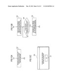 SAMPLE ANALYZING SYSTEM, SAMPLE ANALYZER AND MANAGEMENT APPARATUS diagram and image