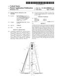 DOUBLE SWIVEL APPARATUS AND METHOD diagram and image