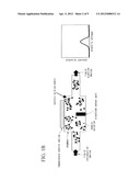 BIOMOLECULES DETECTION METHOD AND BIOMOLECULES DETECTION CHIP diagram and image