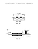 MANIPULATION OF PARTICLES IN CHANNELS diagram and image