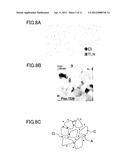 SEMICONDUCTOR DEVICE AND METHOD FOR FABRICATING THE SAME diagram and image