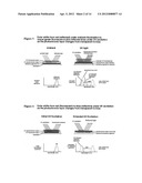 SYSTEMS AND METHODS FOR CREATING OPTICAL EFFECTS ON MEDIA diagram and image