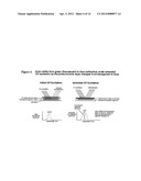 SYSTEMS AND METHODS FOR CREATING OPTICAL EFFECTS ON MEDIA diagram and image