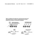 SYSTEMS AND METHODS FOR CREATING OPTICAL EFFECTS ON MEDIA diagram and image