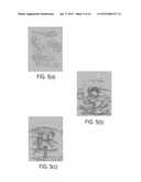 SYSTEM AND METHOD FOR INTERACTIVE PAINTING OF 2D IMAGES FOR ITERATIVE 3D     MODELING diagram and image