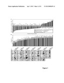 Methods And Compositions Related To Synergistic Responses To Oncogenic     Mutations diagram and image