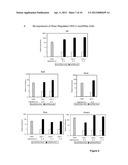 Methods And Compositions Related To Synergistic Responses To Oncogenic     Mutations diagram and image