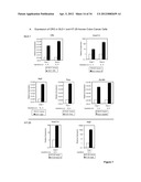 Methods And Compositions Related To Synergistic Responses To Oncogenic     Mutations diagram and image