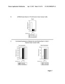 Methods And Compositions Related To Synergistic Responses To Oncogenic     Mutations diagram and image