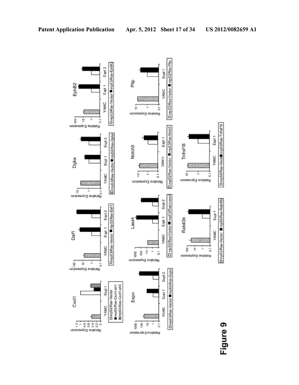 Methods And Compositions Related To Synergistic Responses To Oncogenic     Mutations - diagram, schematic, and image 18