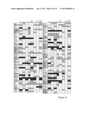 Methods And Compositions Related To Synergistic Responses To Oncogenic     Mutations diagram and image