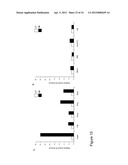 Methods And Compositions Related To Synergistic Responses To Oncogenic     Mutations diagram and image