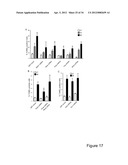 Methods And Compositions Related To Synergistic Responses To Oncogenic     Mutations diagram and image