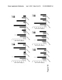 Methods And Compositions Related To Synergistic Responses To Oncogenic     Mutations diagram and image